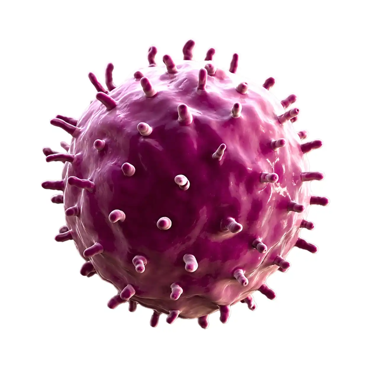 Infectious Bronchitis (IB)