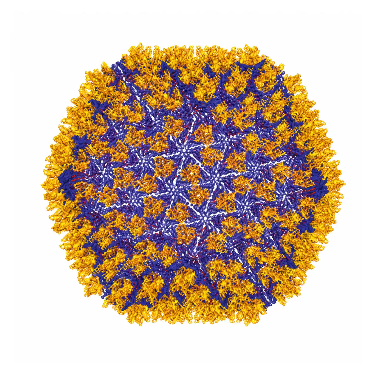 Infectious Bursal Disease (IBD / Gumboro)